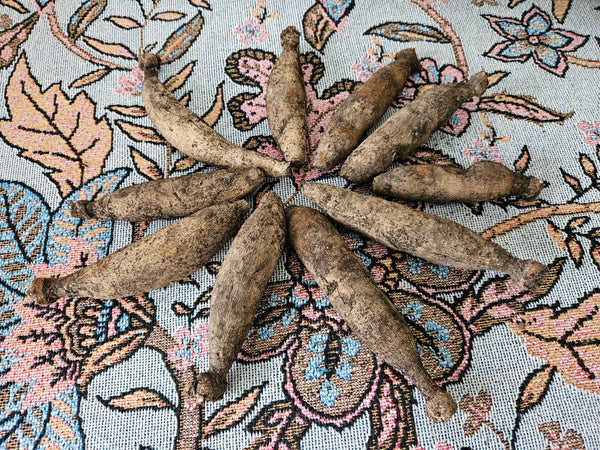 Bushfire dahlia tubers 10 pack
